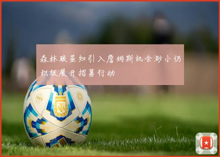 森林狼虽知引入詹姆斯机会渺小仍积极展开招募行动