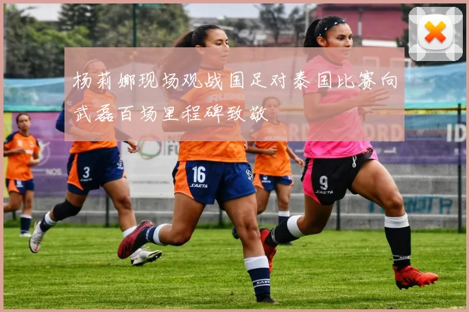 杨莉娜现场观战国足对泰国比赛向武磊百场里程碑致敬